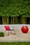 landscape designer Sydney