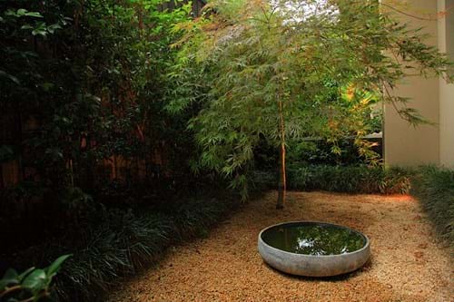 Gravel area with water bowl and Japanese Maple