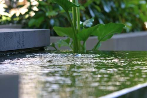 Spillover water feature with bluestone