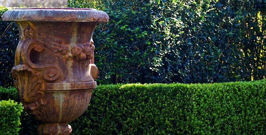 Garden design Rose Bay feature