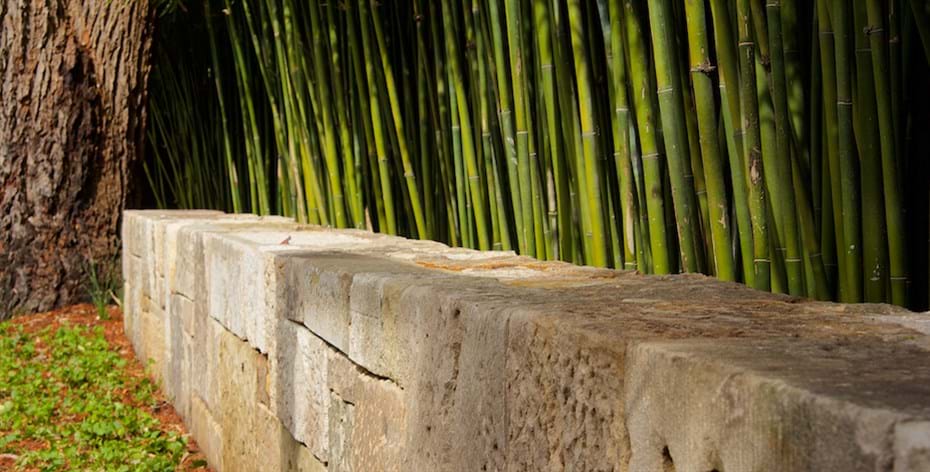 Roseville garden hidden design festival Sydney garden designer