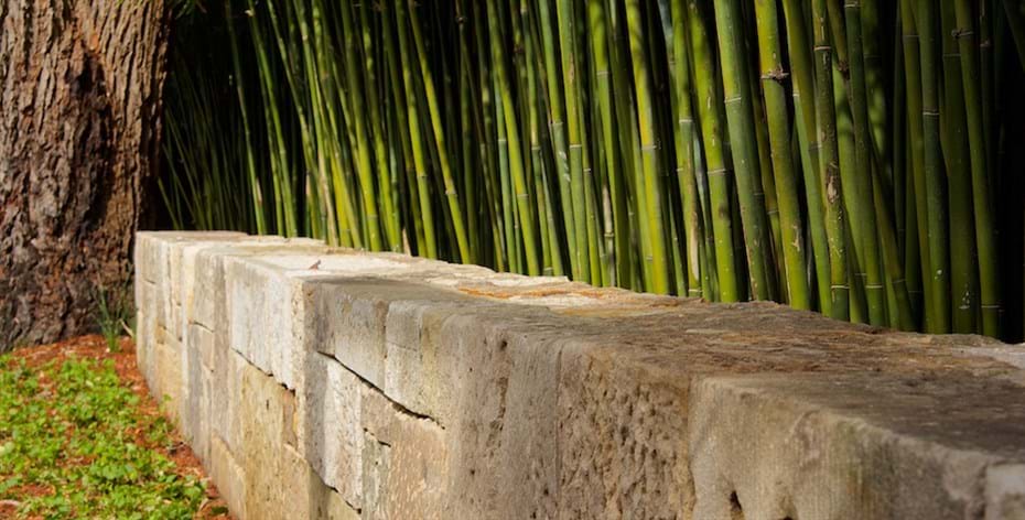 Roseville garden hidden design festival Sydney garden designer