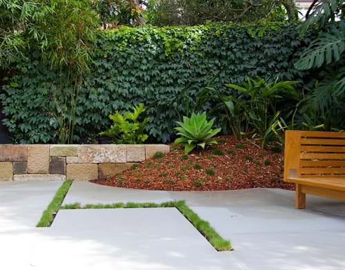 Landscape design Sydney - Roseville garden