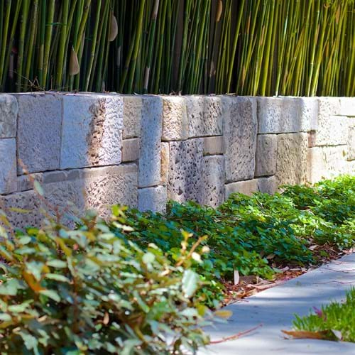 Landscape design Sydney - Roseville garden