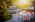 Landscape design